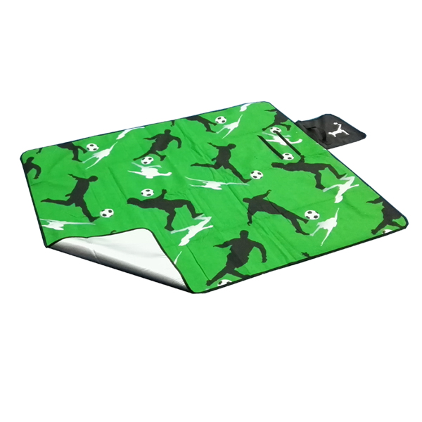 soccer feature picnic blanket